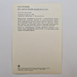 Картинка 2