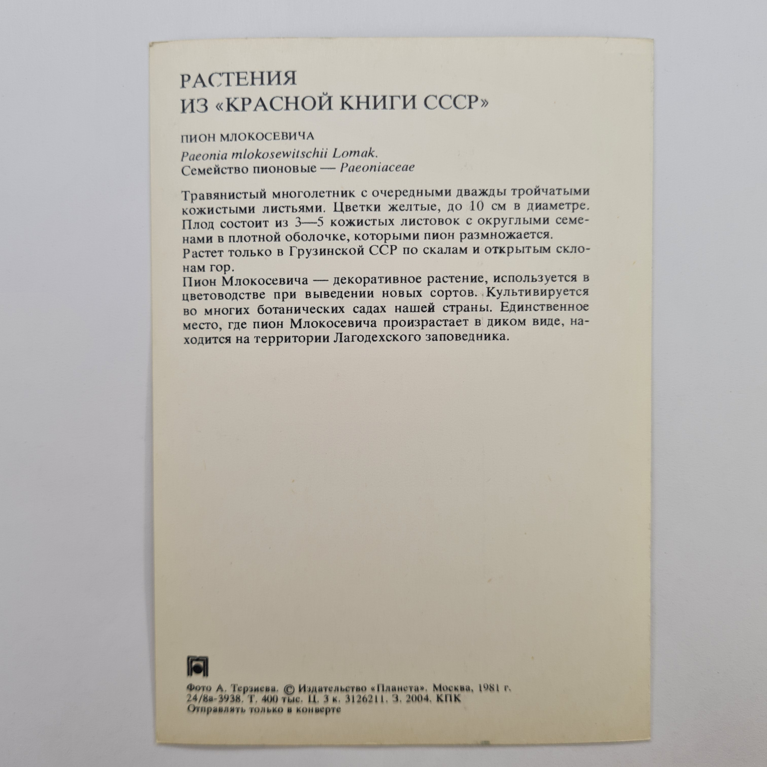 Картинка 2