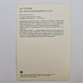Картинка 2