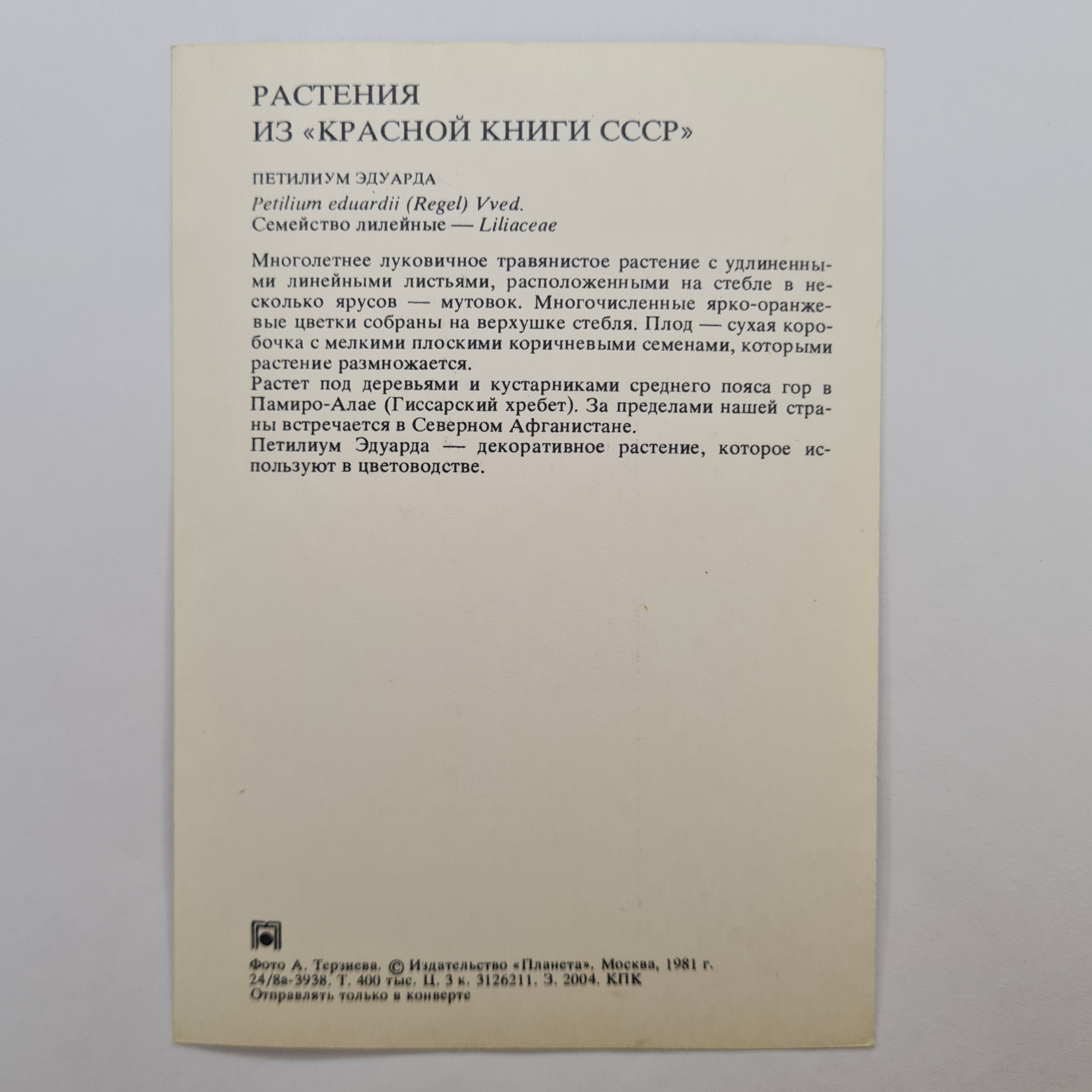 Картинка 2