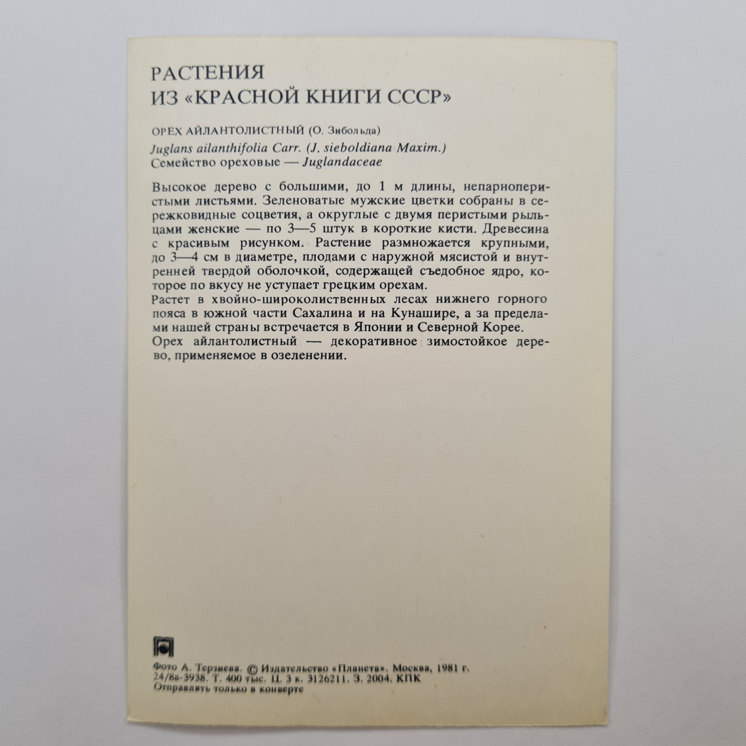 Картинка 2