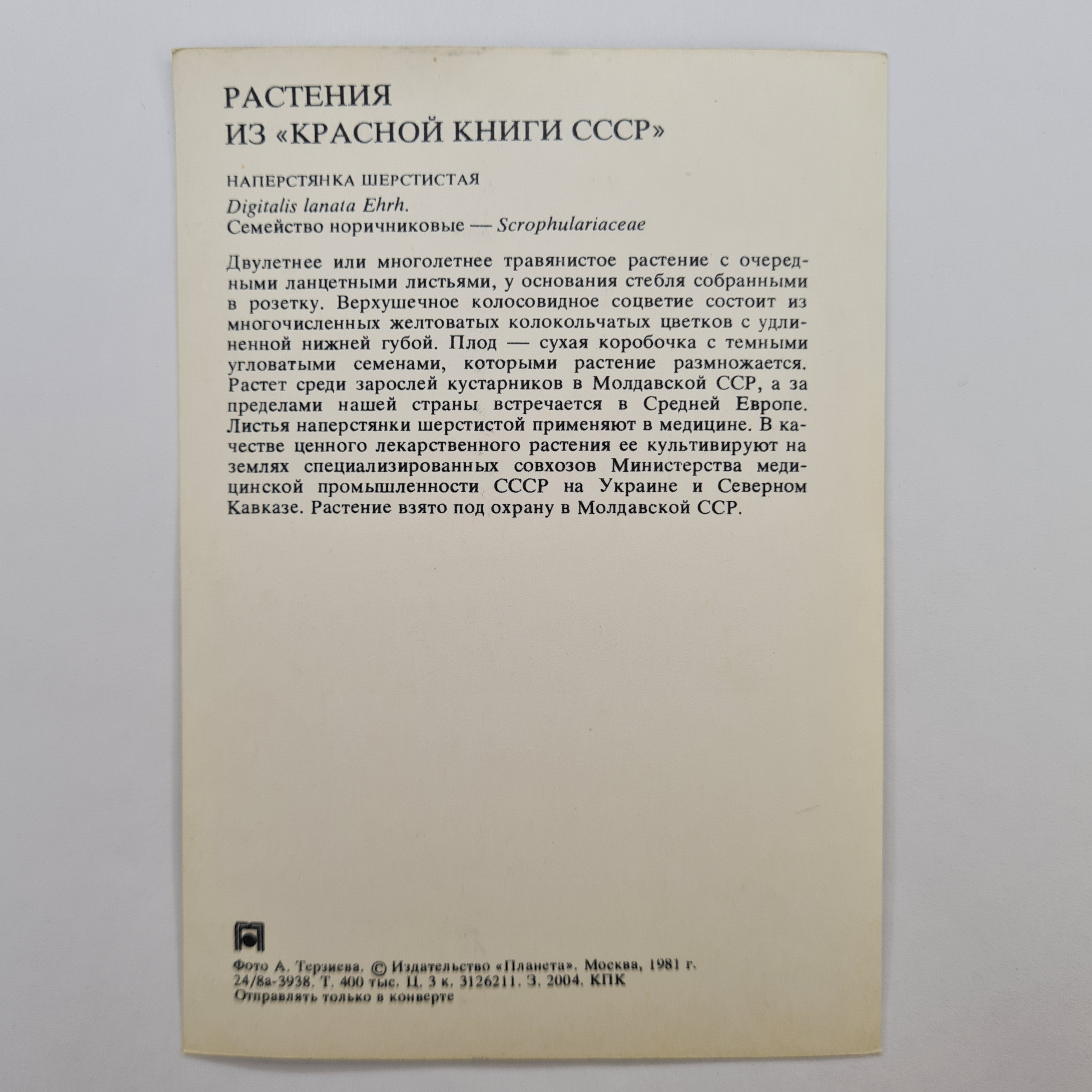 Картинка 2