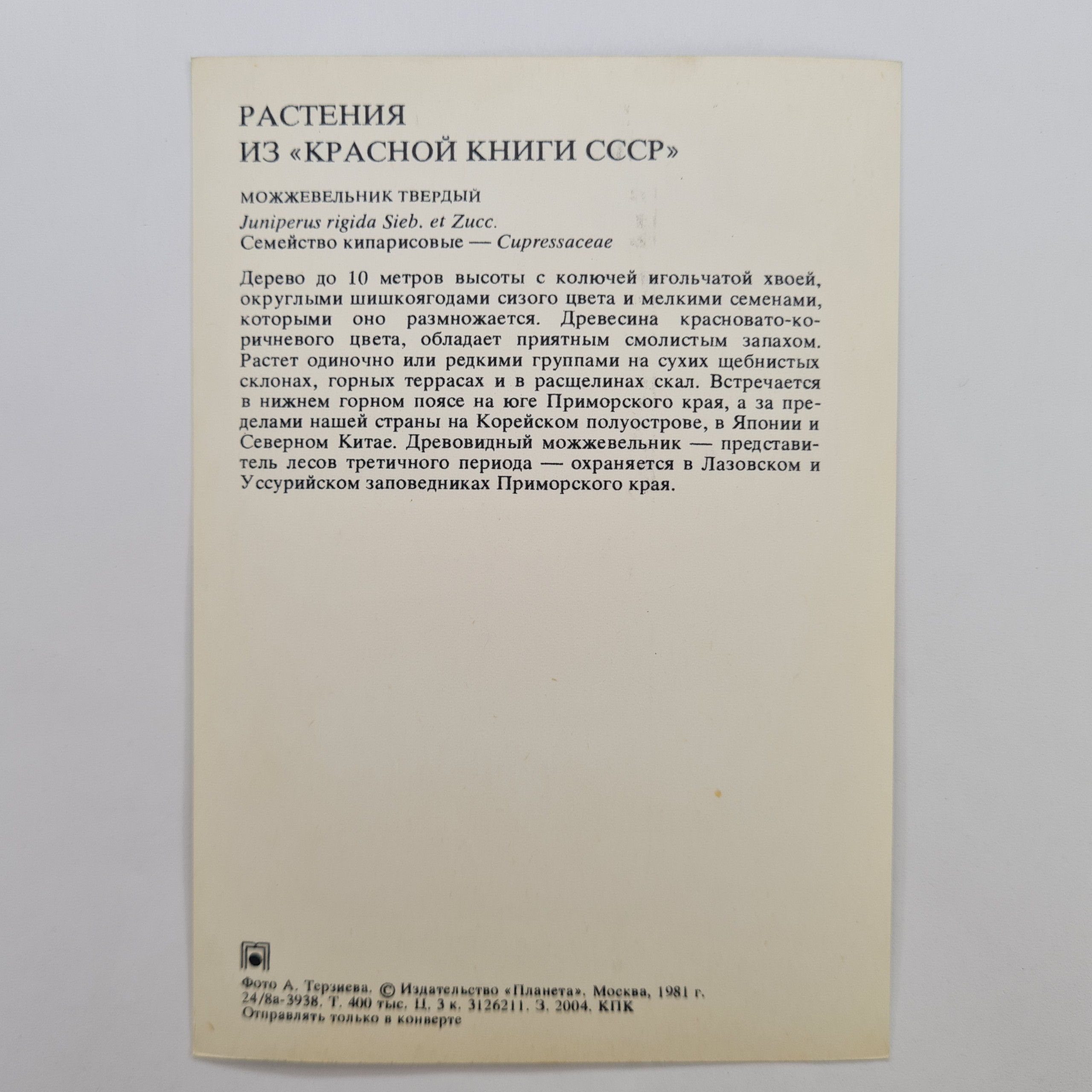 Картинка 2