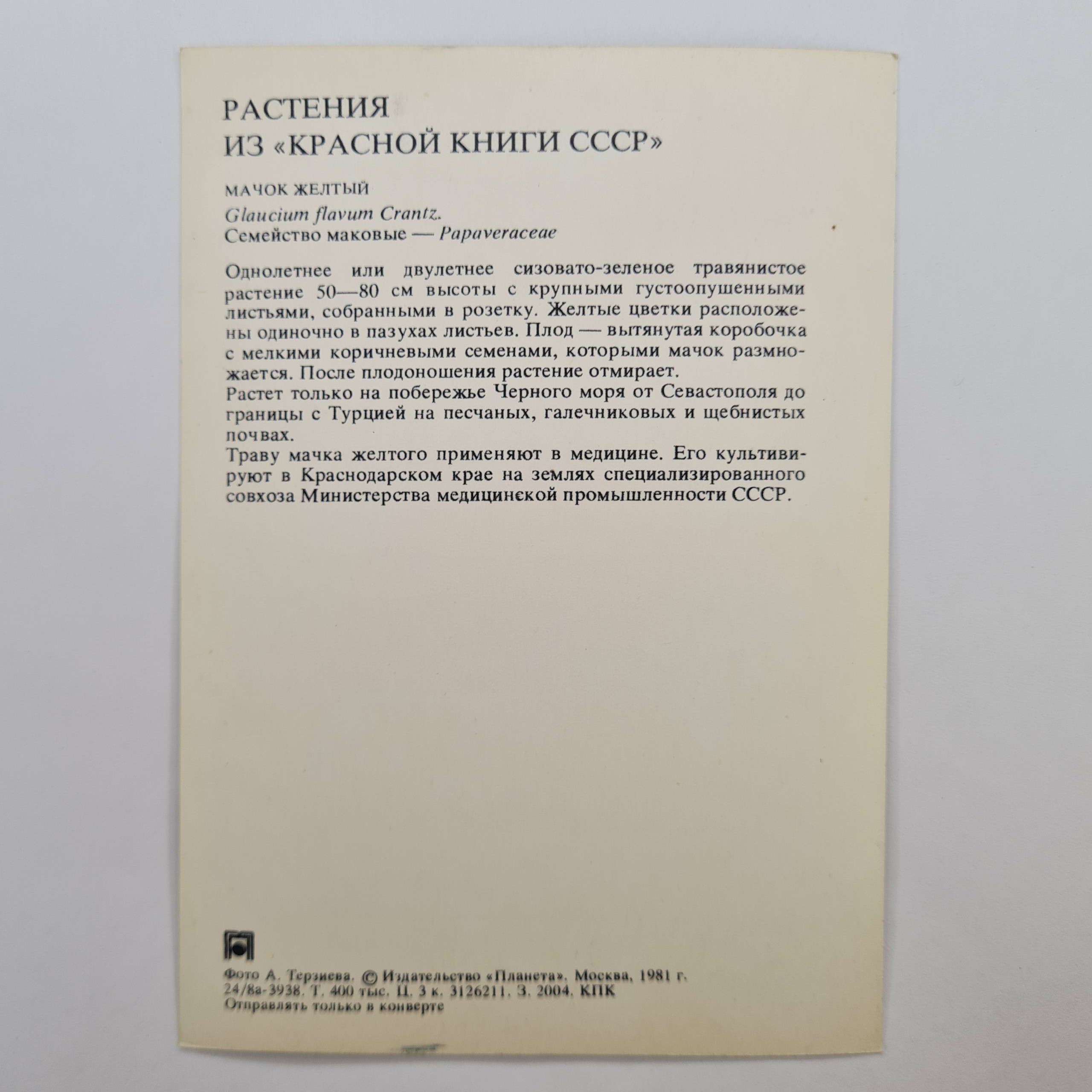 Картинка 2
