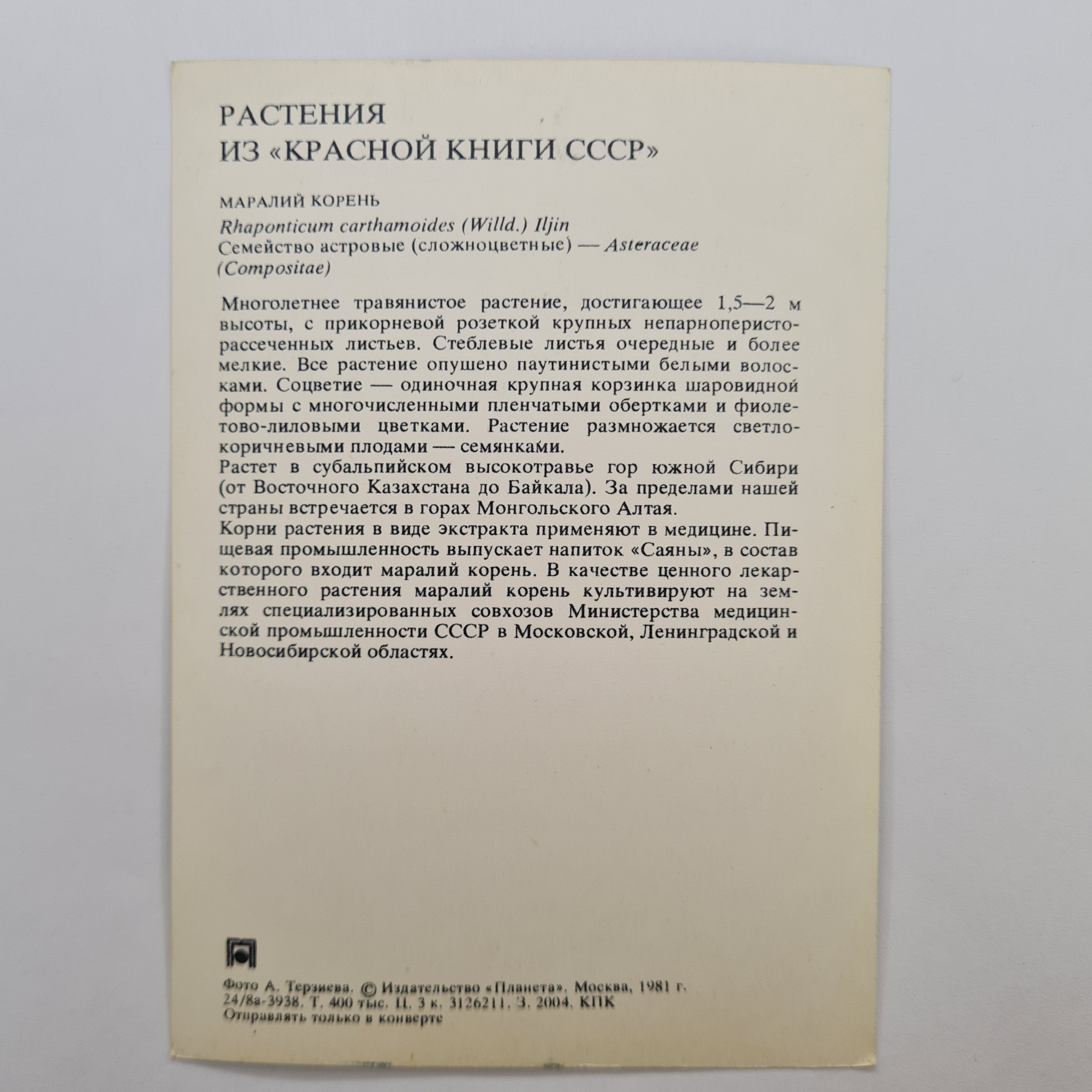 Картинка 2