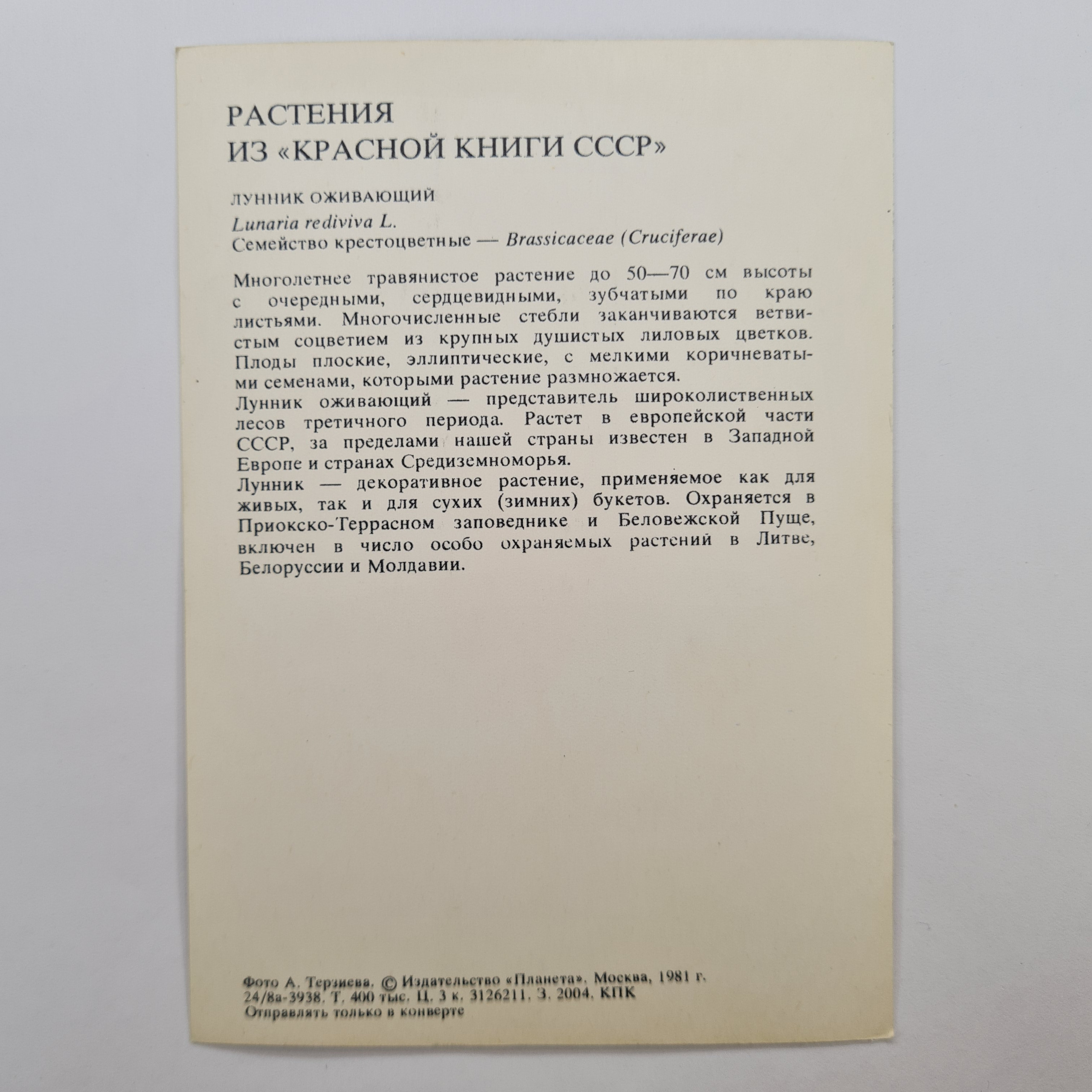 Картинка 2