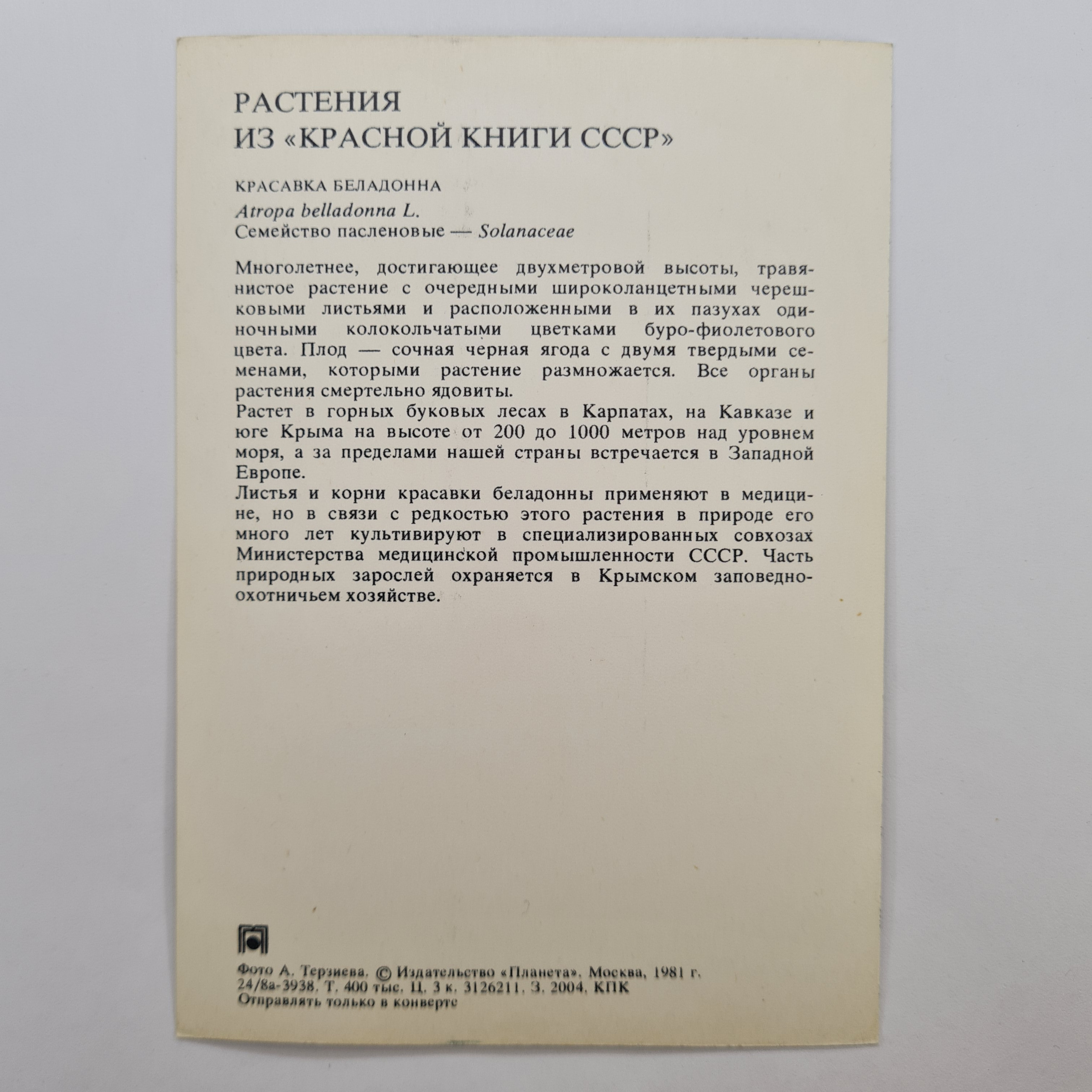 Картинка 2