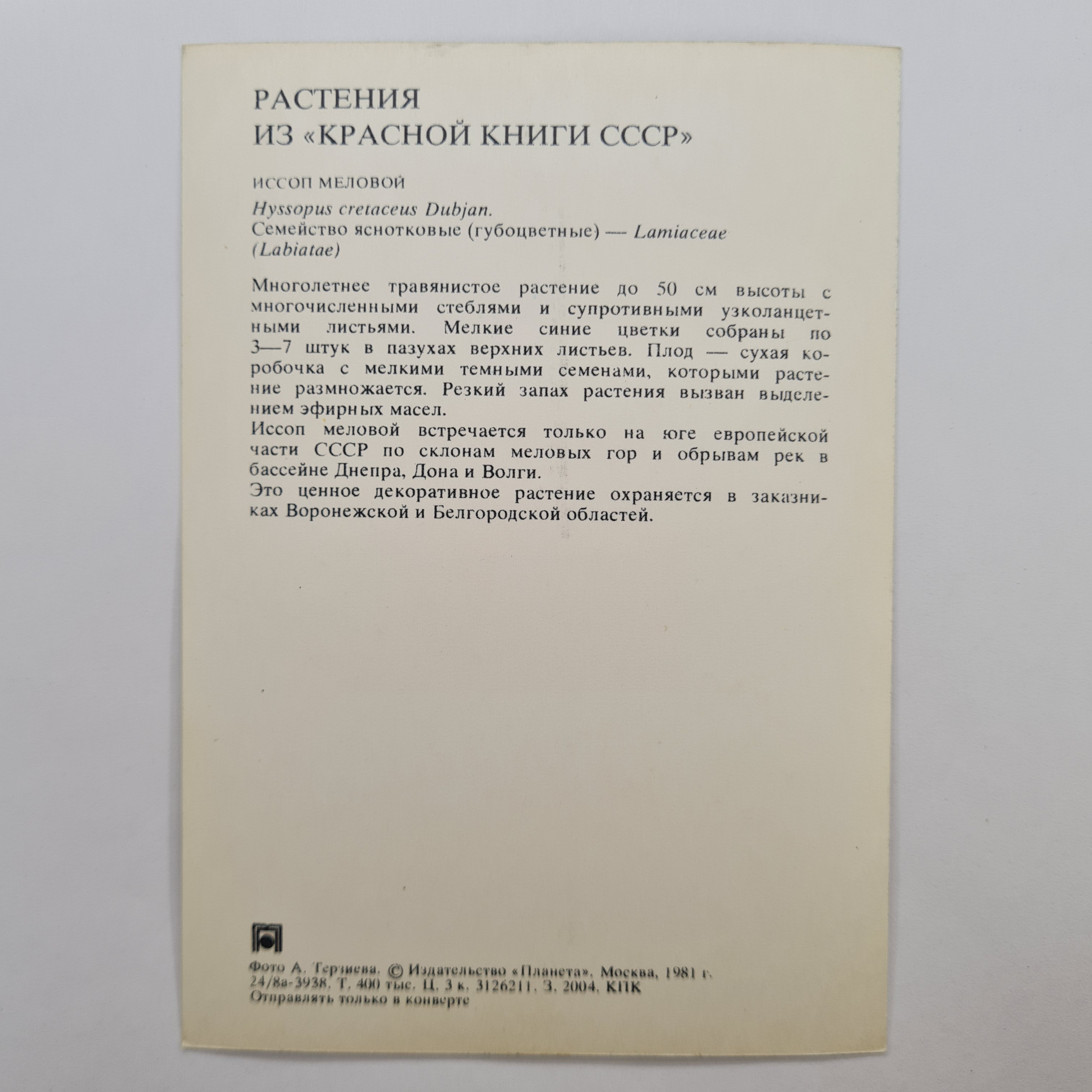 Картинка 2