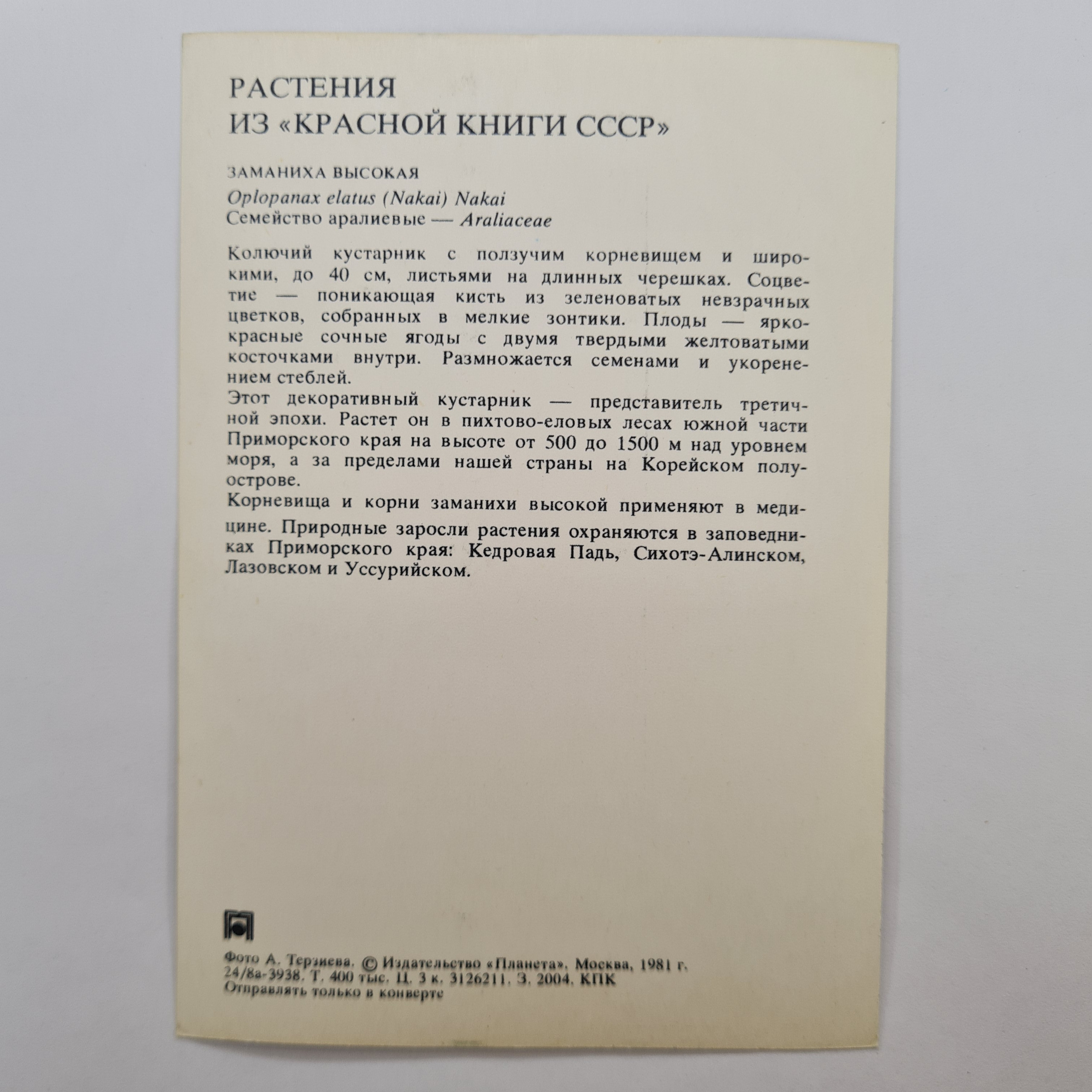 Картинка 2