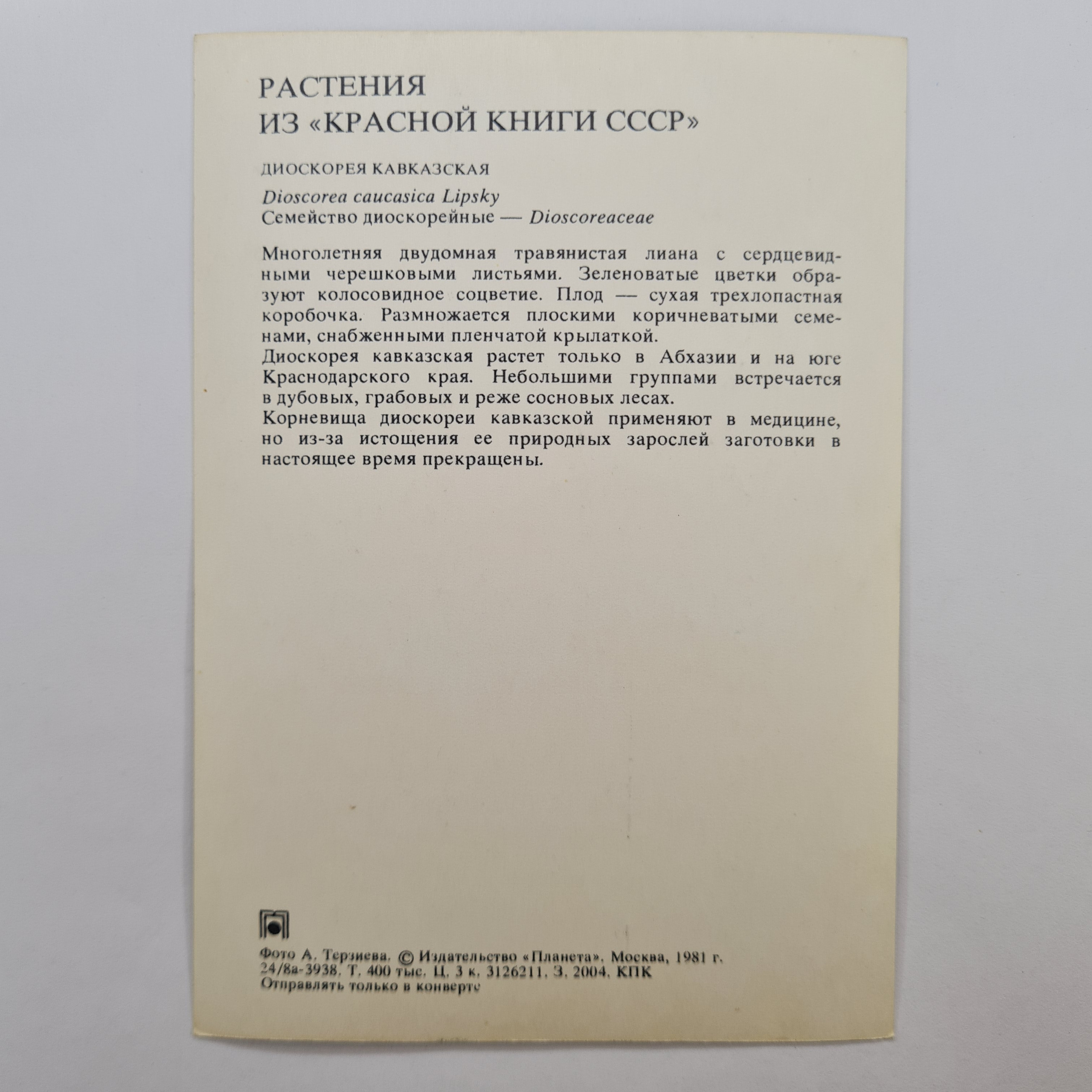 Картинка 2
