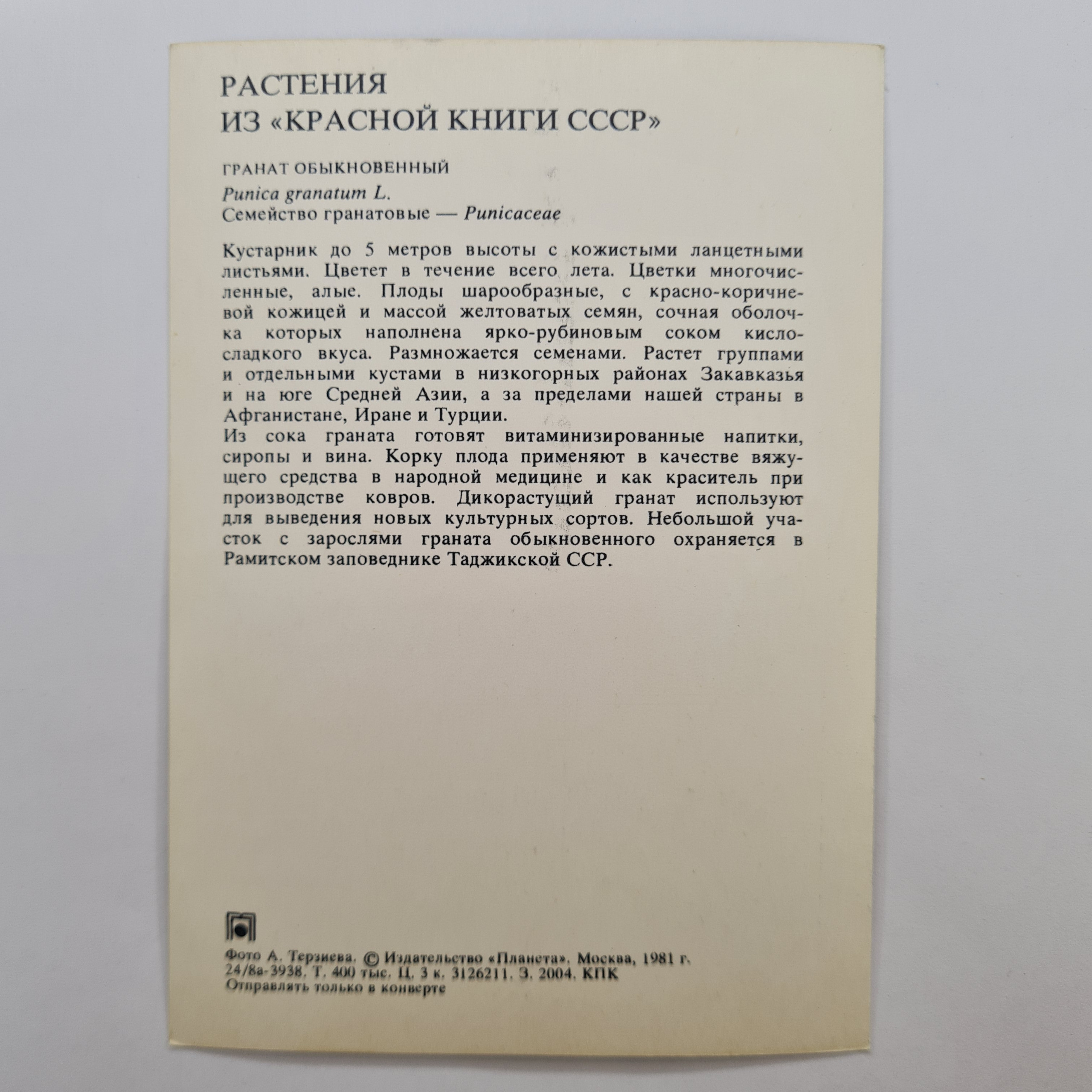 Картинка 2