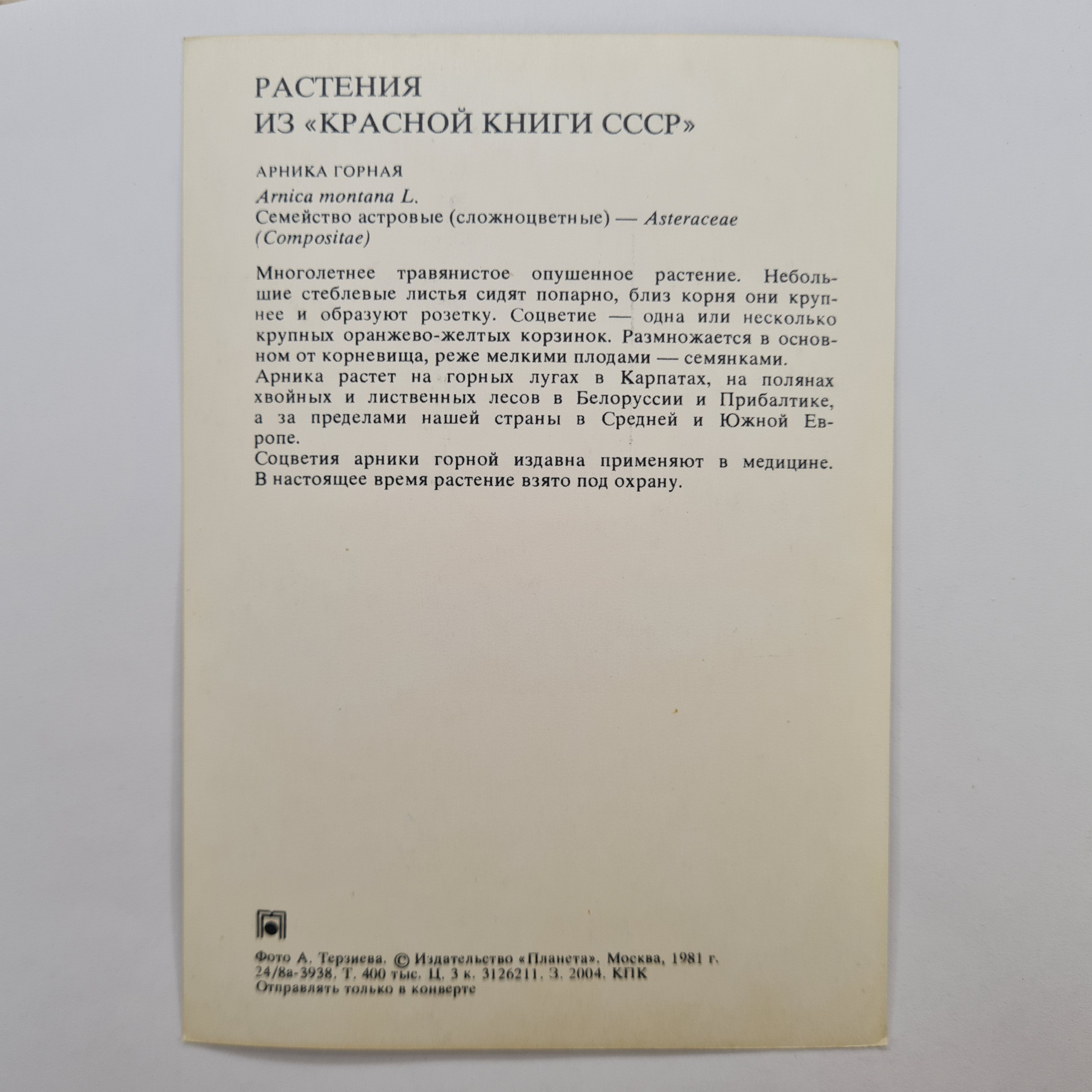 Картинка 2