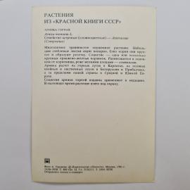 Картинка 2