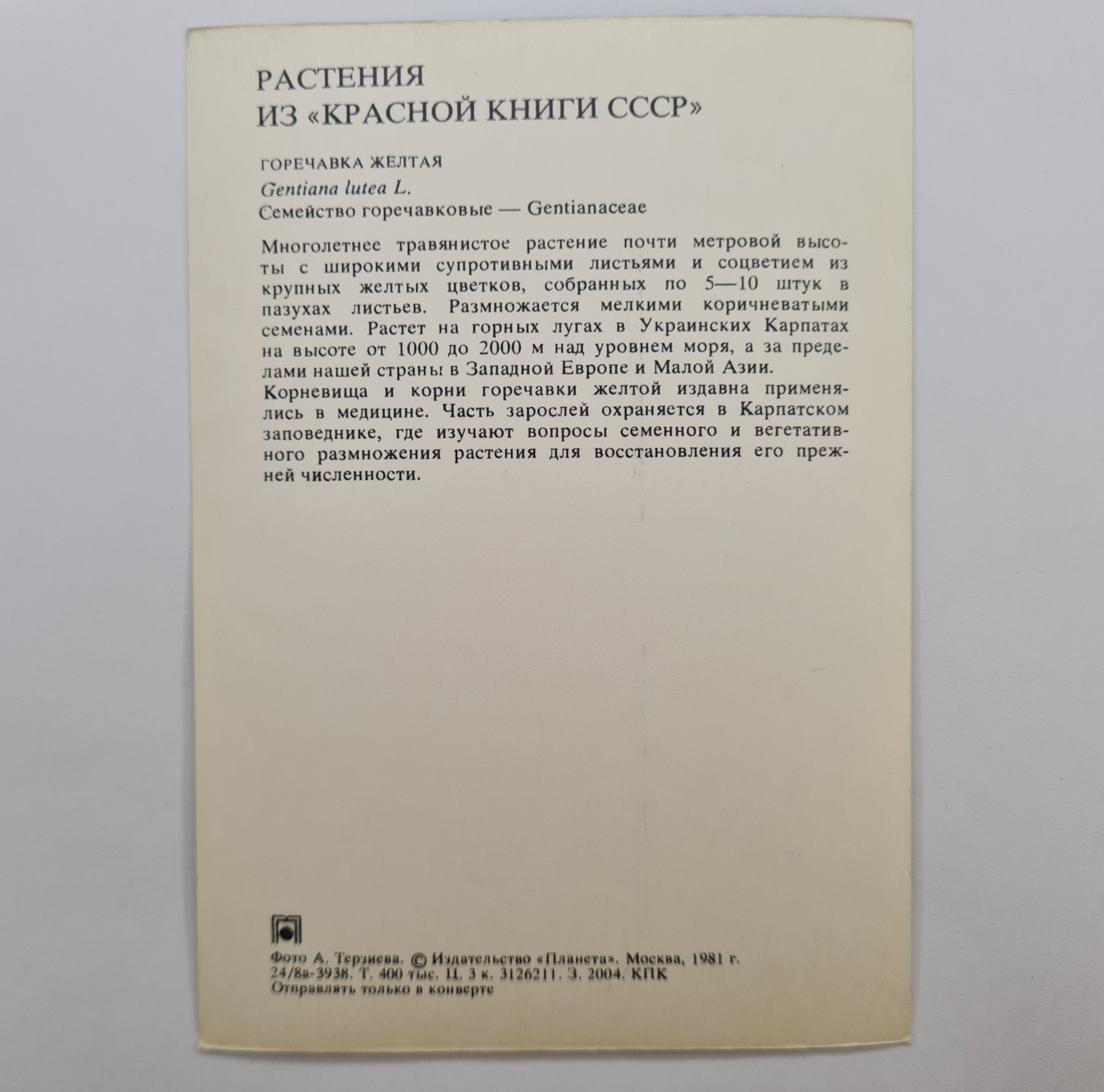 Картинка 2