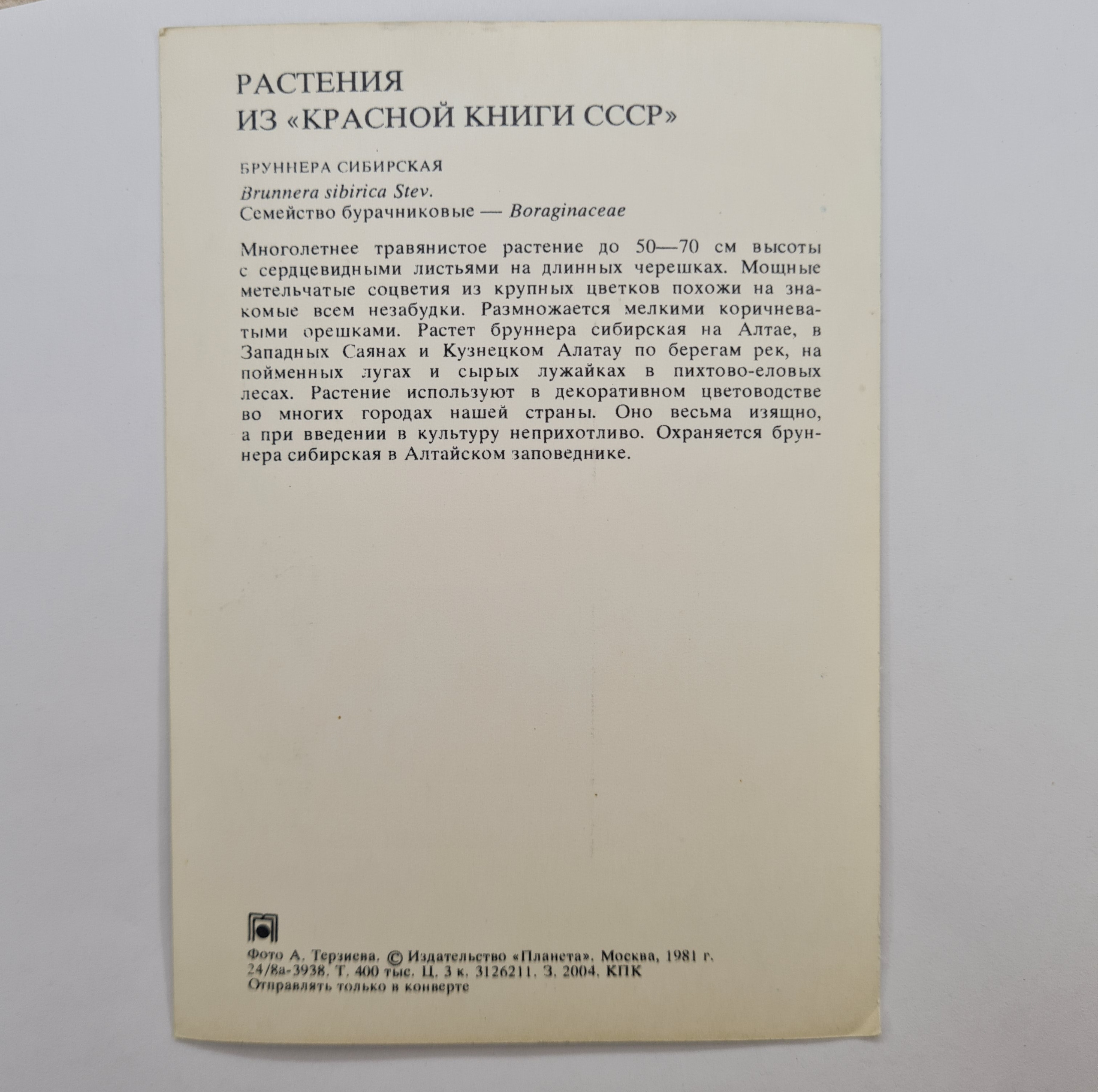 Картинка 2