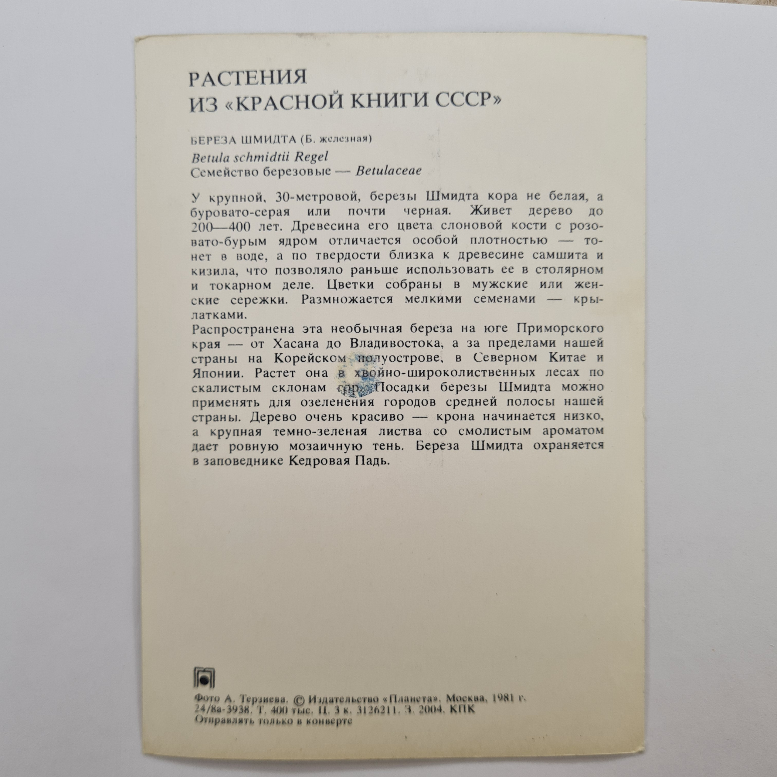 Картинка 2