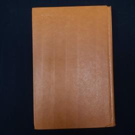 Картинка 3