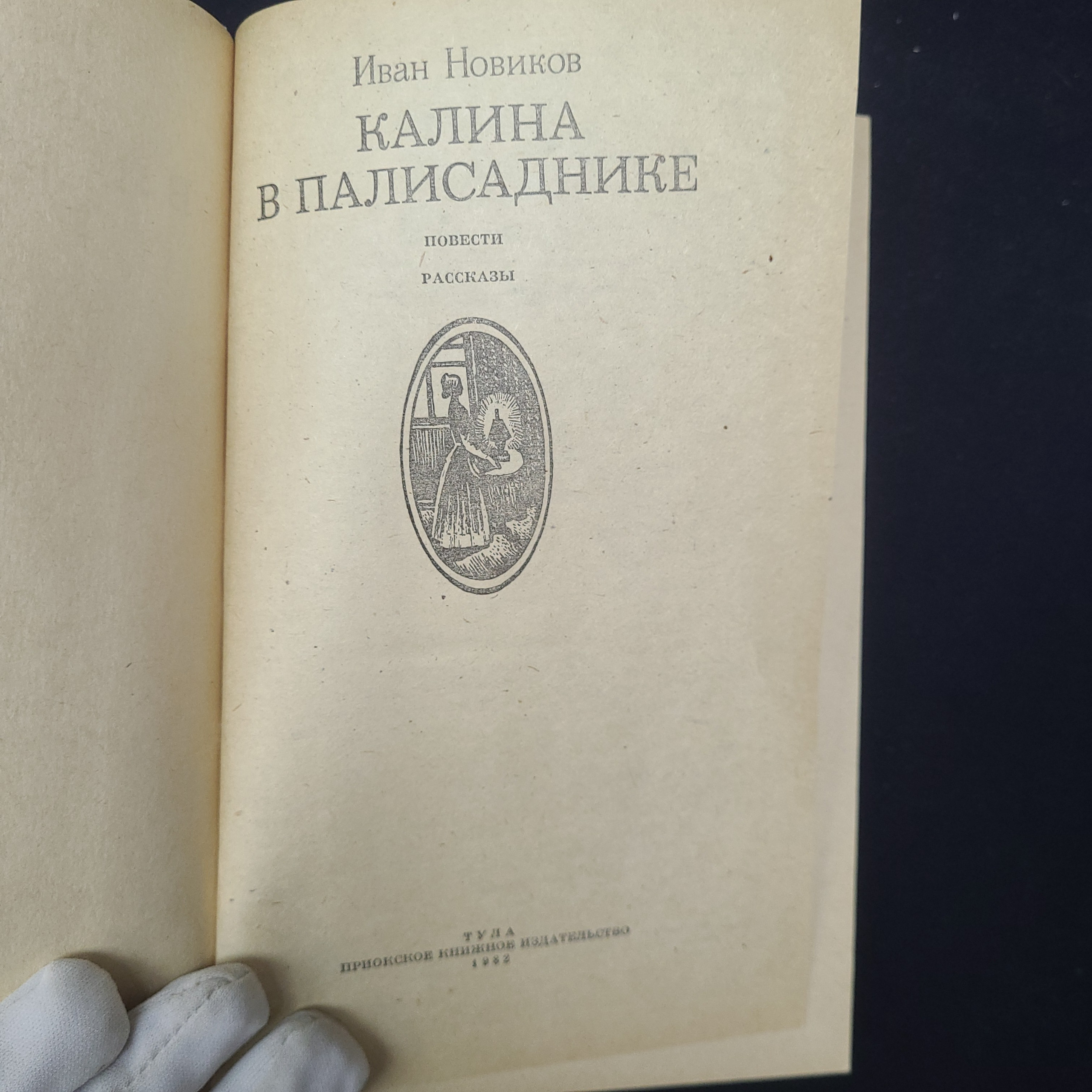 Картинка 4