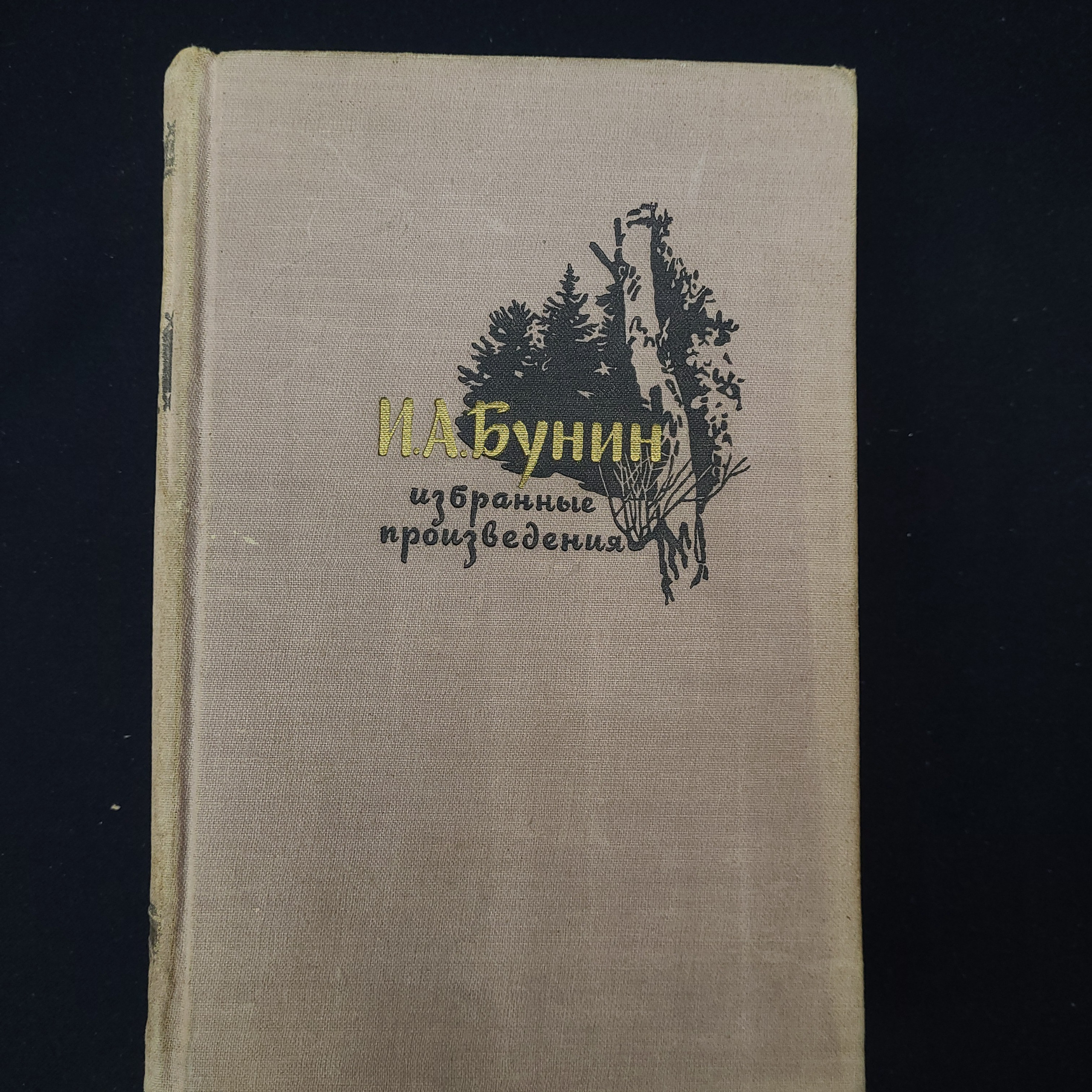 Картинка 1