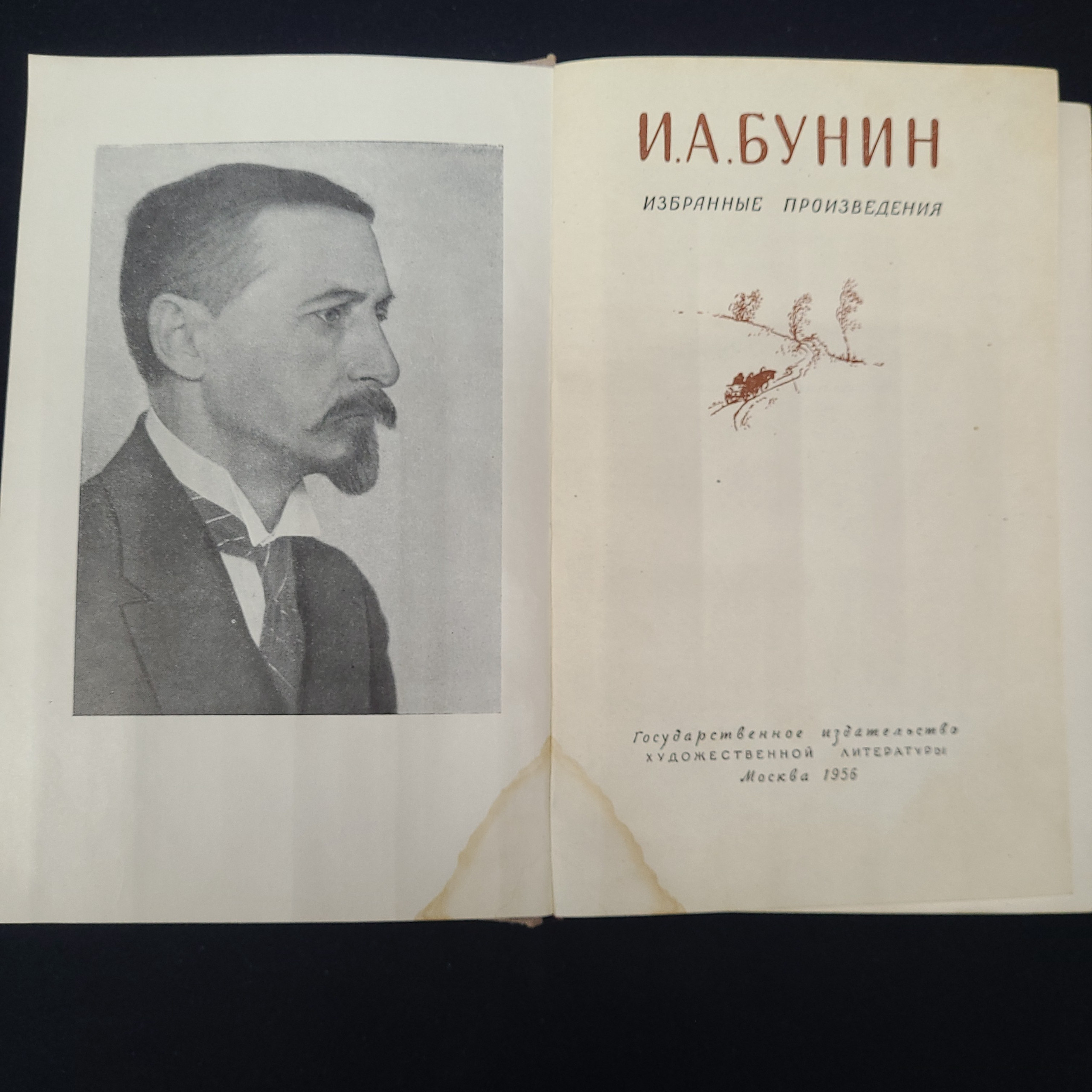 Картинка 4