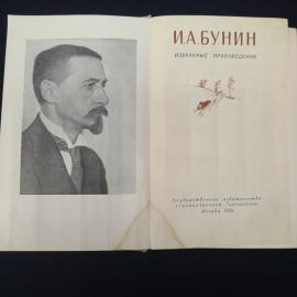Картинка 4