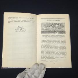 Картинка 6