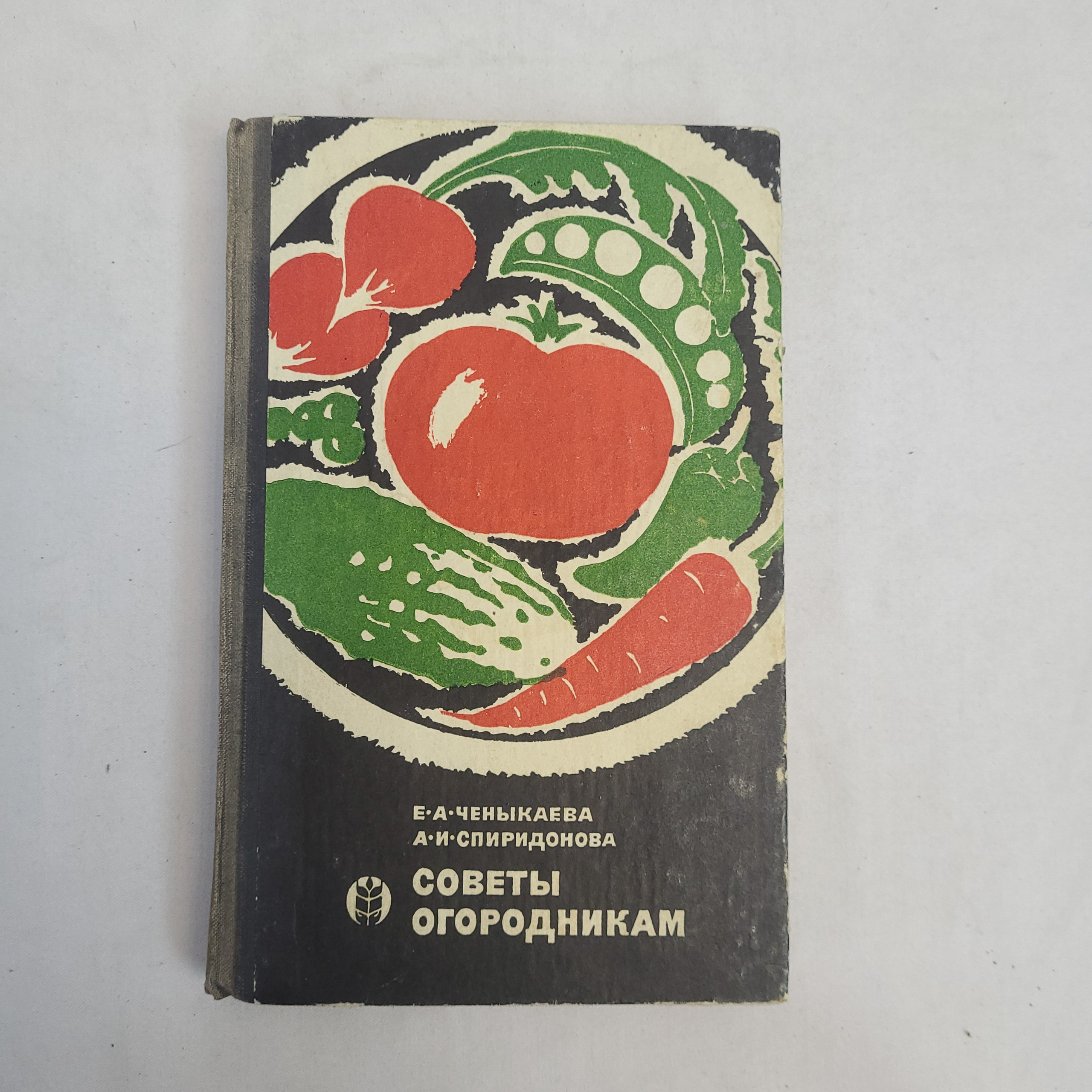 Картинка 1