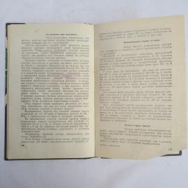Картинка 6