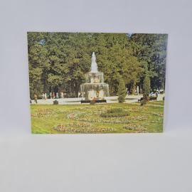 Картинка 1
