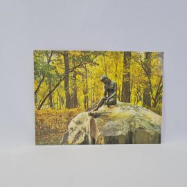 Открытка советская СССР. Пушкин, Екатерининский парк, скульптура девушка с кувшином, винтаж