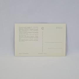 Картинка 2