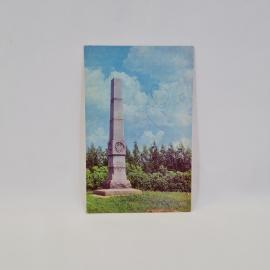 Картинка 1