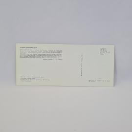 Картинка 2