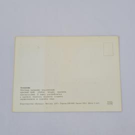 Картинка 2