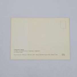 Картинка 2