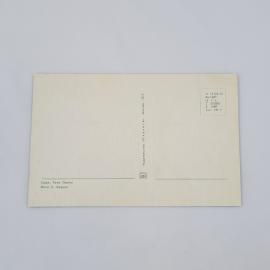 Картинка 2