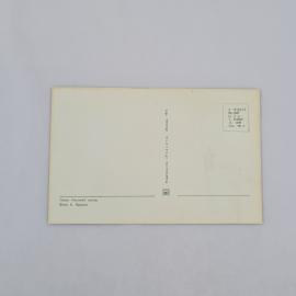 Картинка 2