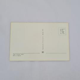 Картинка 2