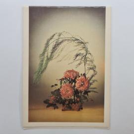 Открытка советская СССР. Цветы, композиция Ветерок с астрами и ветвями. Винтаж, натюрморт