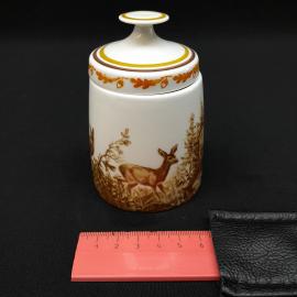Картинка 8
