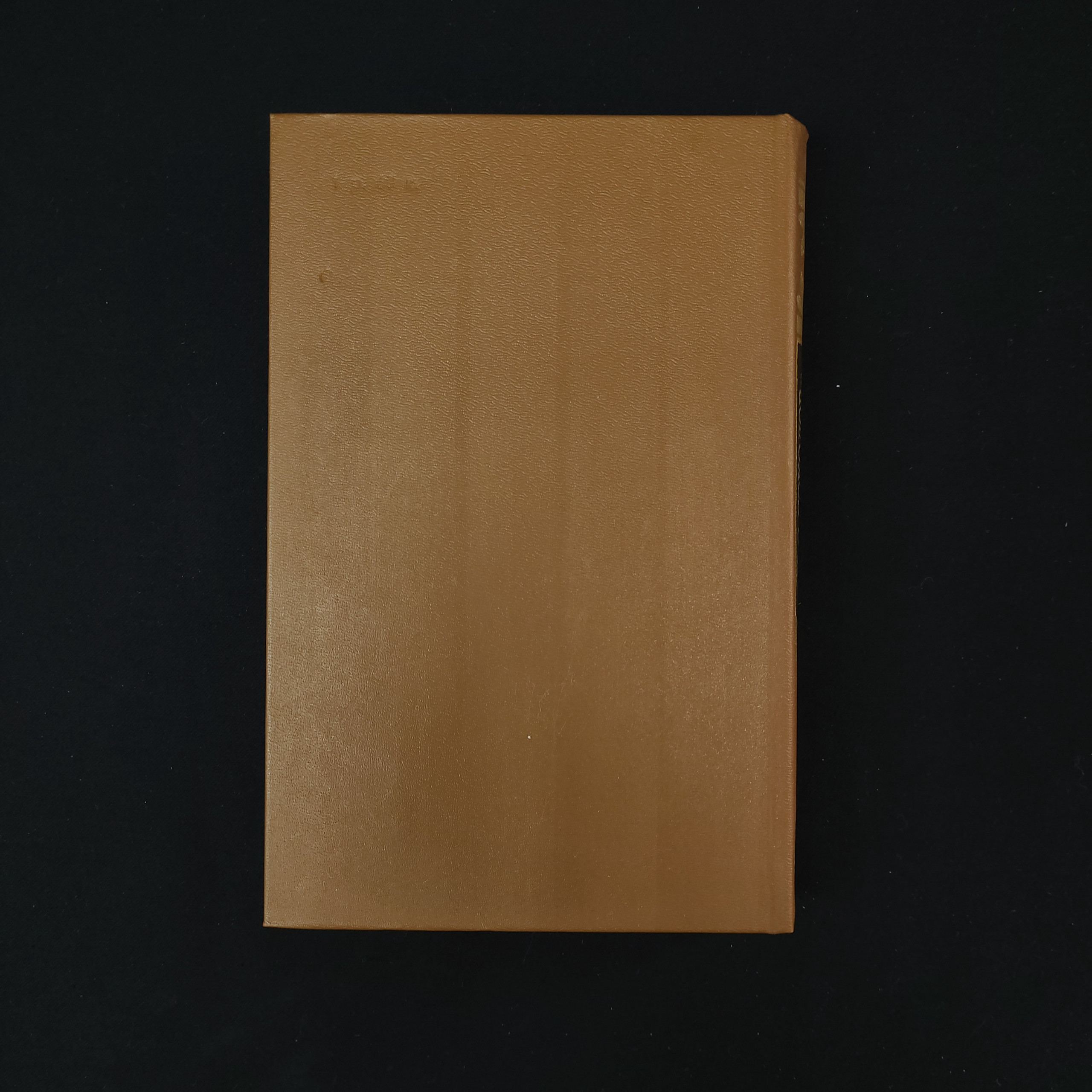 Картинка 5