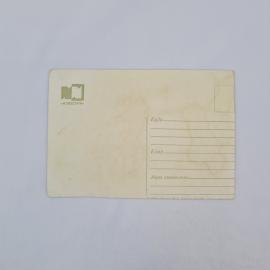 Картинка 2