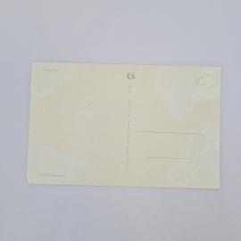 Картинка 2