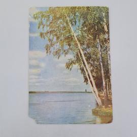 Открытка советская СССР. Подмосковье, березы на берегу озера, природа и пейзаж. Винтаж