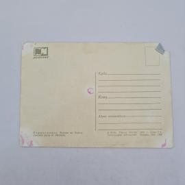 Картинка 2