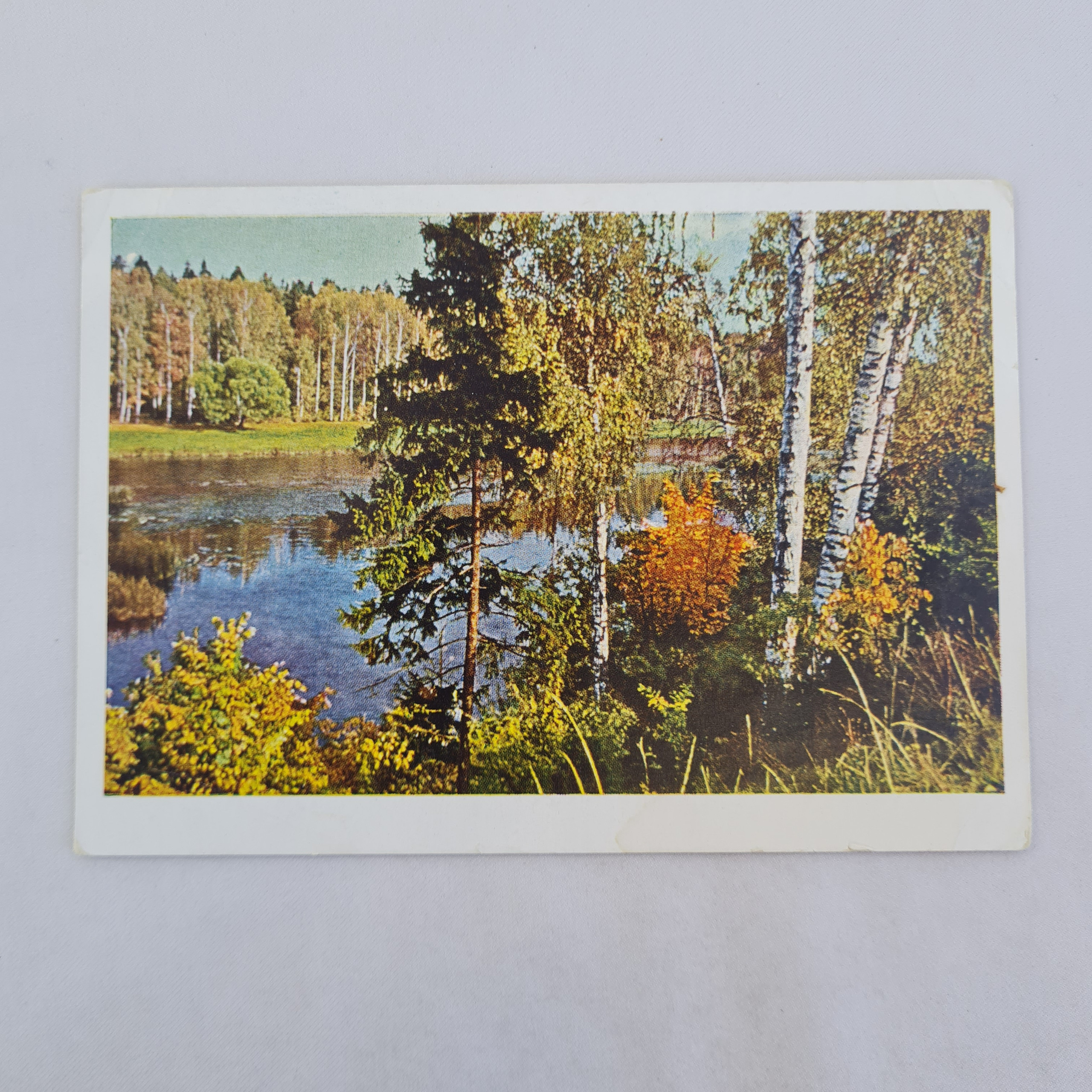 Картинка 1