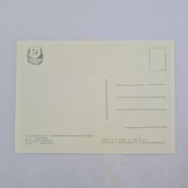 Картинка 2