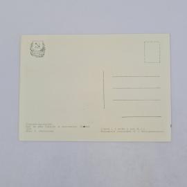 Картинка 2