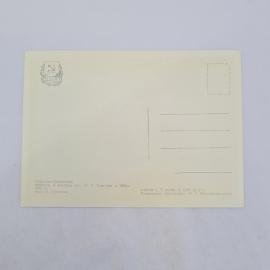 Картинка 2