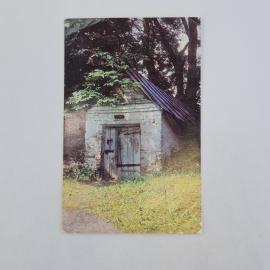 Открытка советская СССР. Лесной пейзаж, старый домик среди деревьев. Винтаж, природа